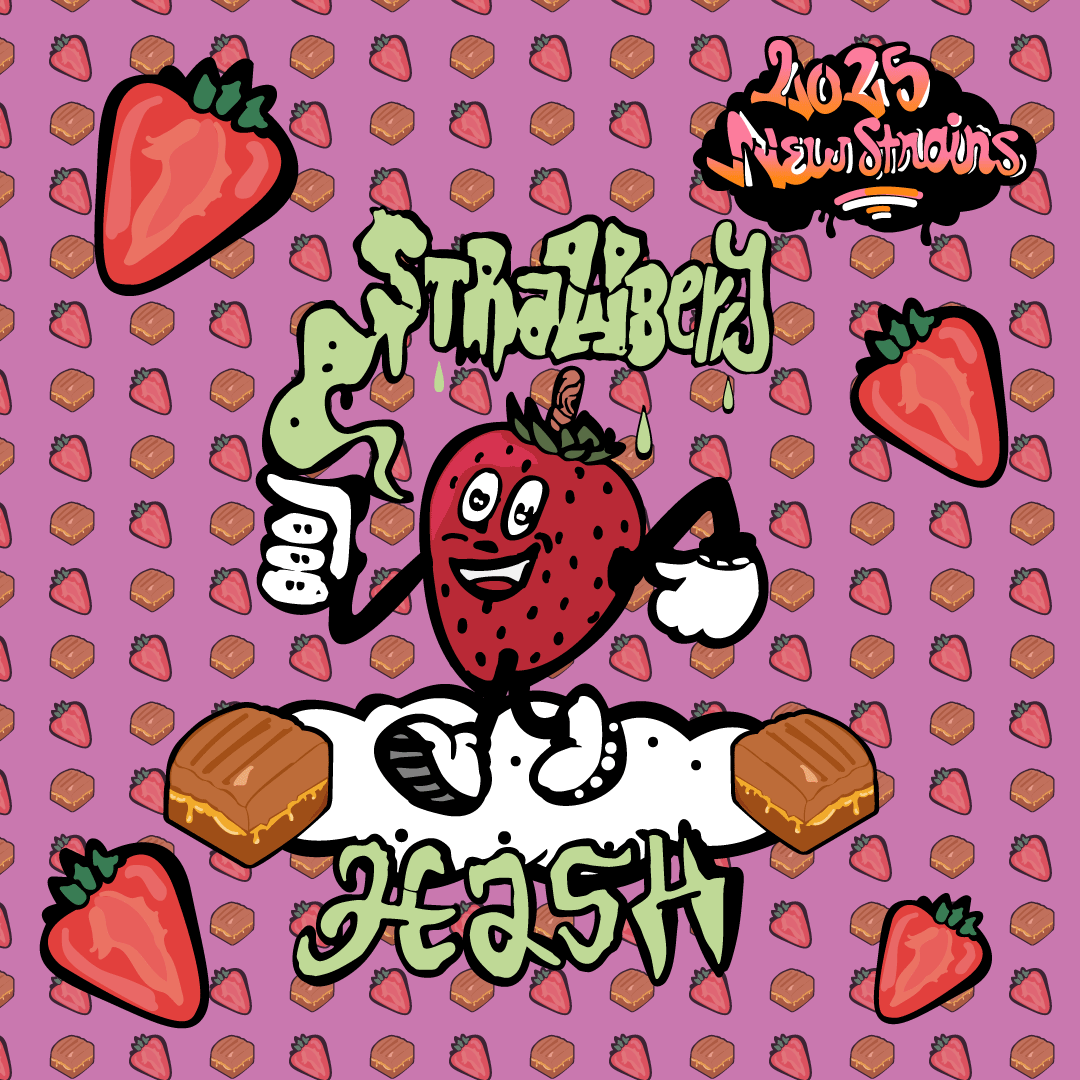 Strawberry Hash CBD - Mr Weezy