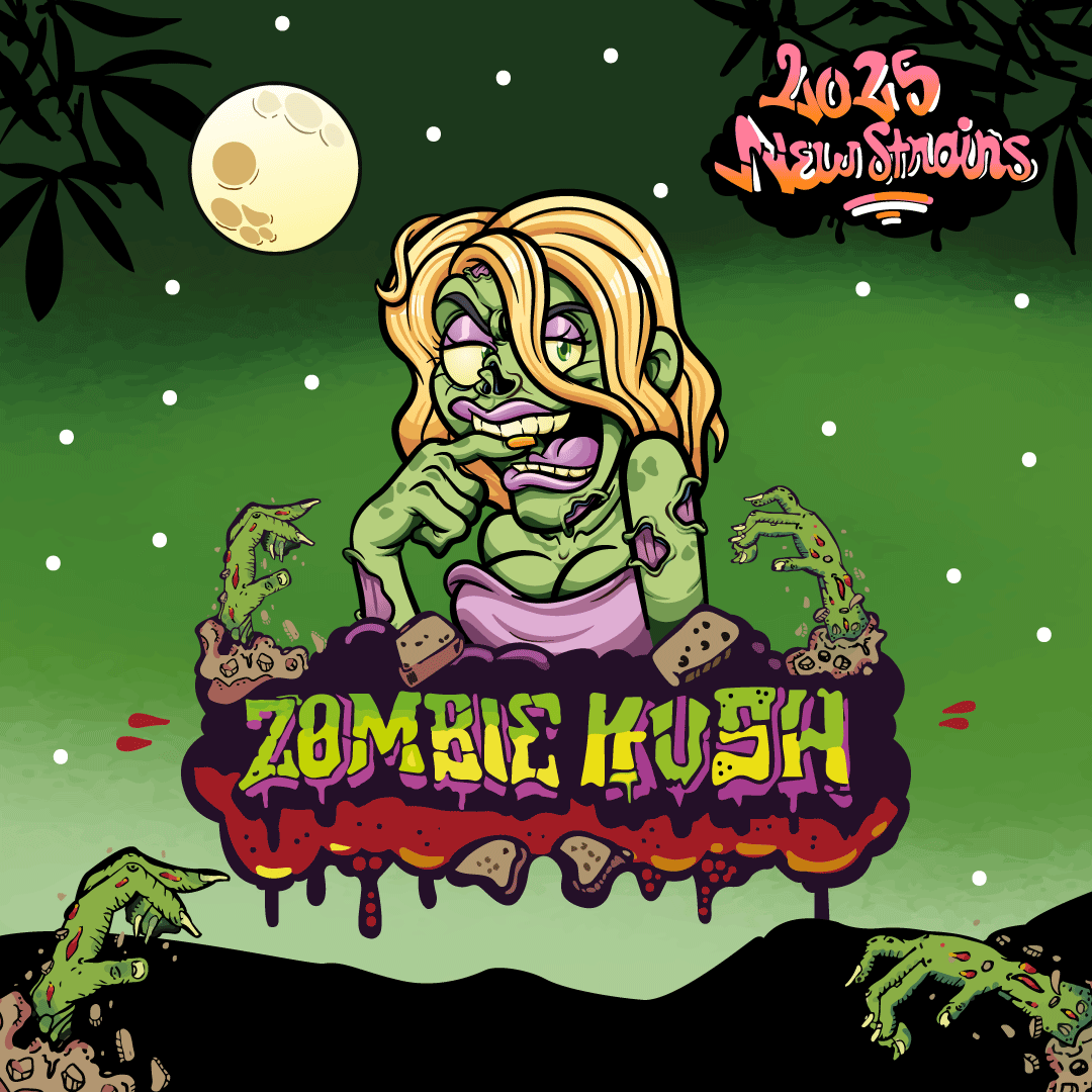 Zombie Kush HASH CBD - Mr Weezy